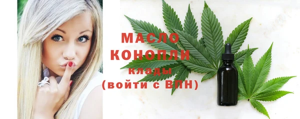 шишки Кодинск