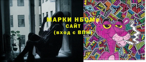 шишки Кодинск