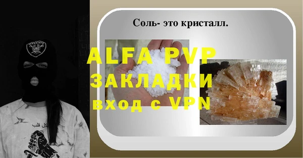 шишки Кодинск