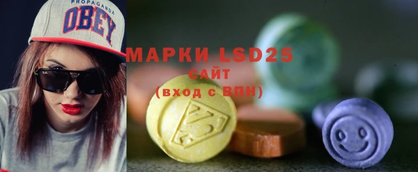 шишки Кодинск