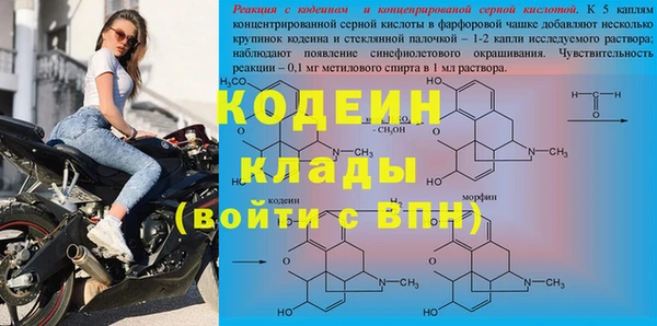 шишки Кодинск