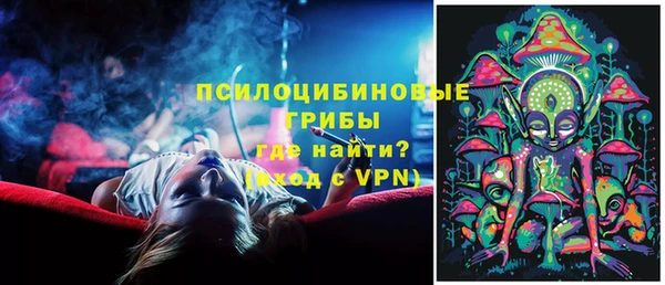 МДМА Козельск