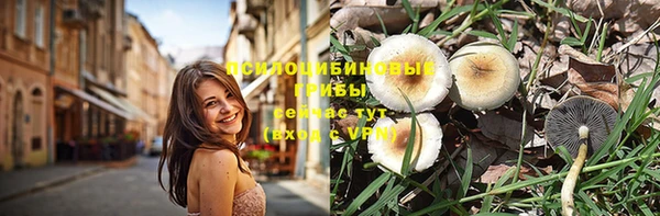 стафф Кинешма