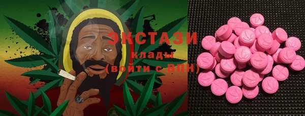 шишки Кодинск