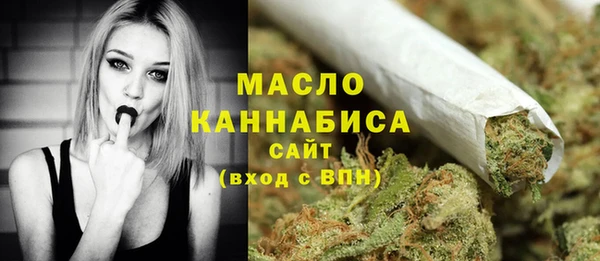 шишки Кодинск